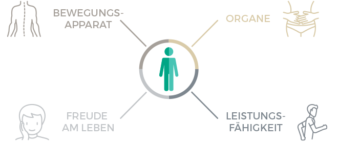 hnc Anwendungsgebiete