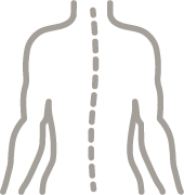 hnc Bewegungsapparat